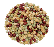 Legume