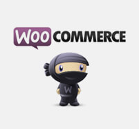 woocommerce-and-others-plugins