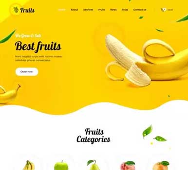 SKT Fruits