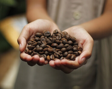 How Much Caffeine is in a Coffee Bean