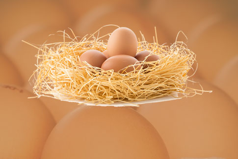 egg-nest-bg