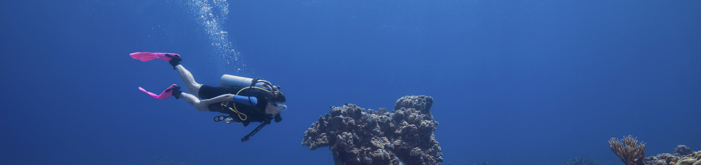 page-header-img