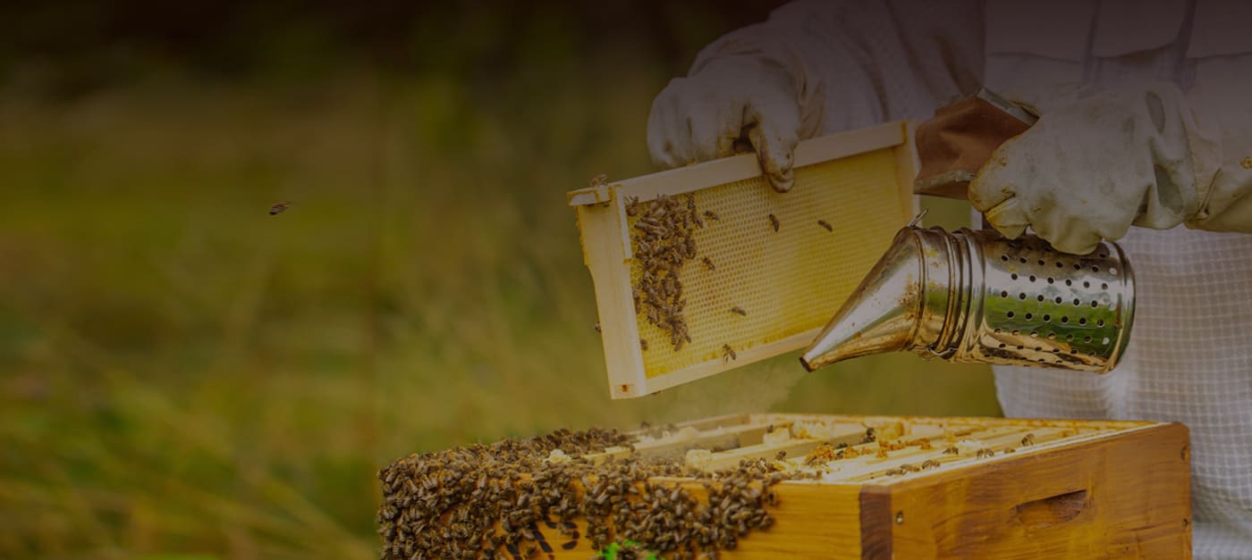 Natural Honey &Beekeeping