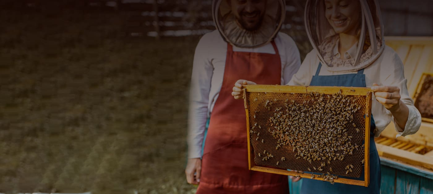 Natural Honey &Beekeeping