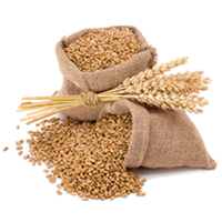 Grains
