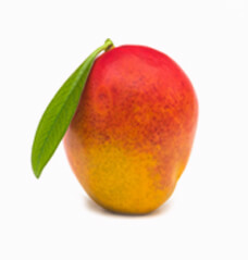 Fresh Mango