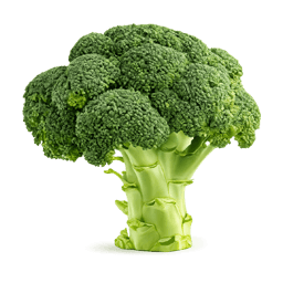 Organic Delicious Fresh Broccoli