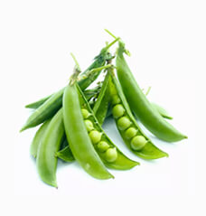 Organic Sweet Peas