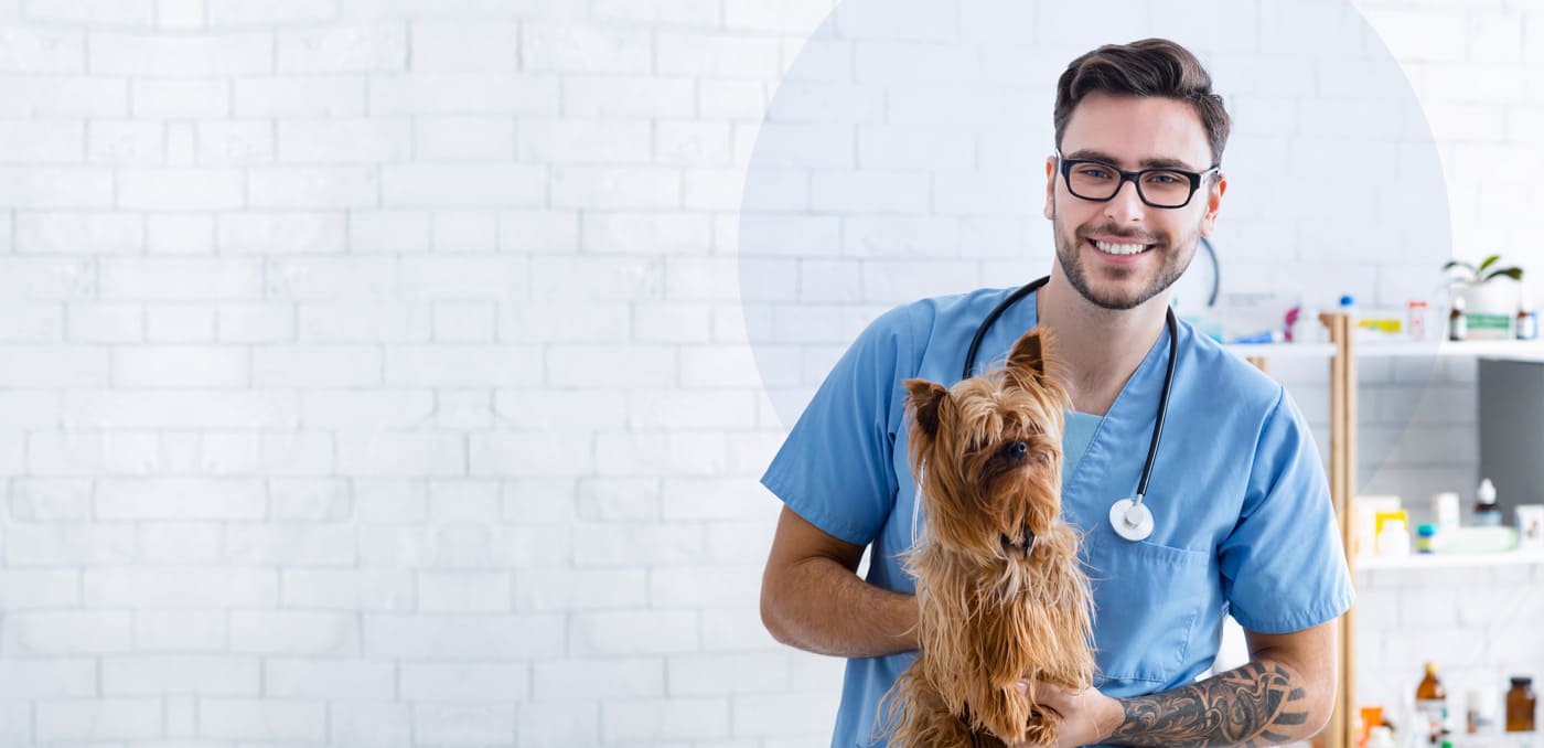 Providing Special Care For Your Pets