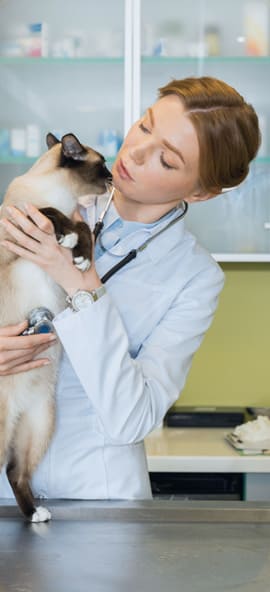Veterinary Care